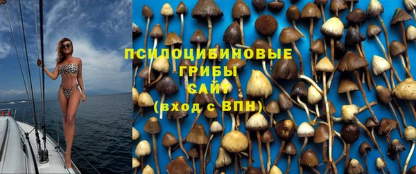 амф Протвино