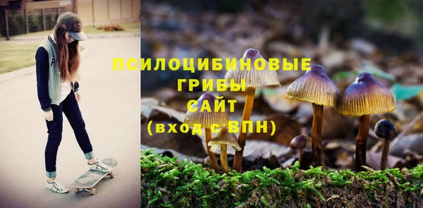 apvp Приозерск