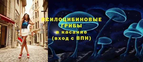 амф Протвино