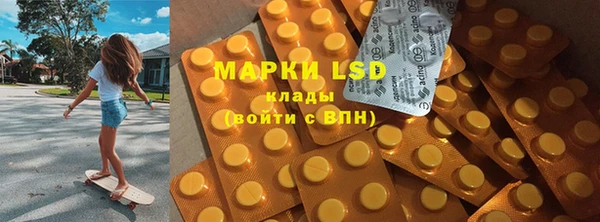 прущие грибы Дедовск